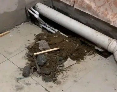 鄂温克卫生间漏水检测哪家好